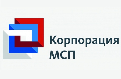 О «зонтичном» механизме поручительств Корпорации «МСП»